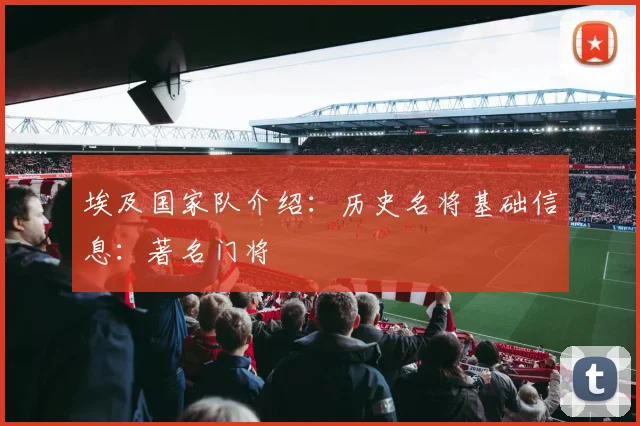 埃及国家队介绍：历史名将基础信息：著名门将