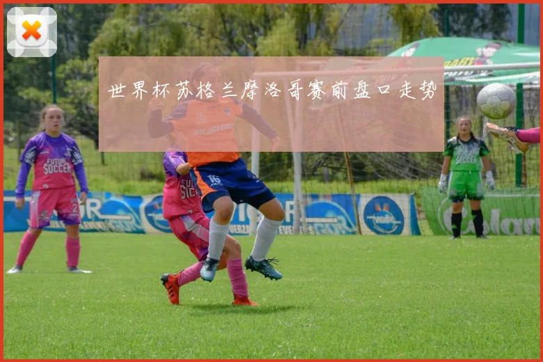 世界杯苏格兰摩洛哥赛前盘口走势