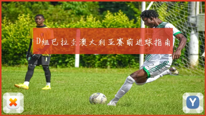 D组巴拉圭澳大利亚赛前进球指南