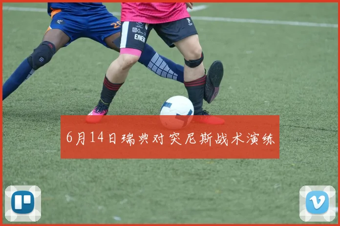 6月14日瑞典对突尼斯战术演练